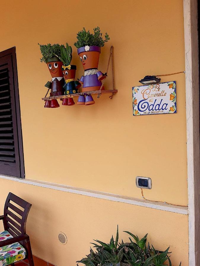 B&B Le Camerette Di Edda Cassino Exterior photo